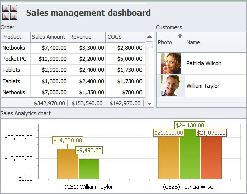 Sales Management Software Dashboard